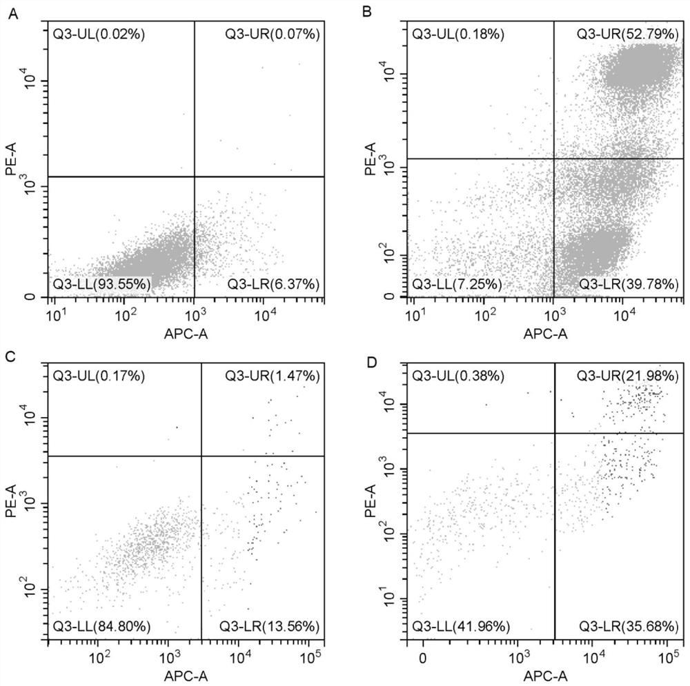 A kind of nk cell culture system and application