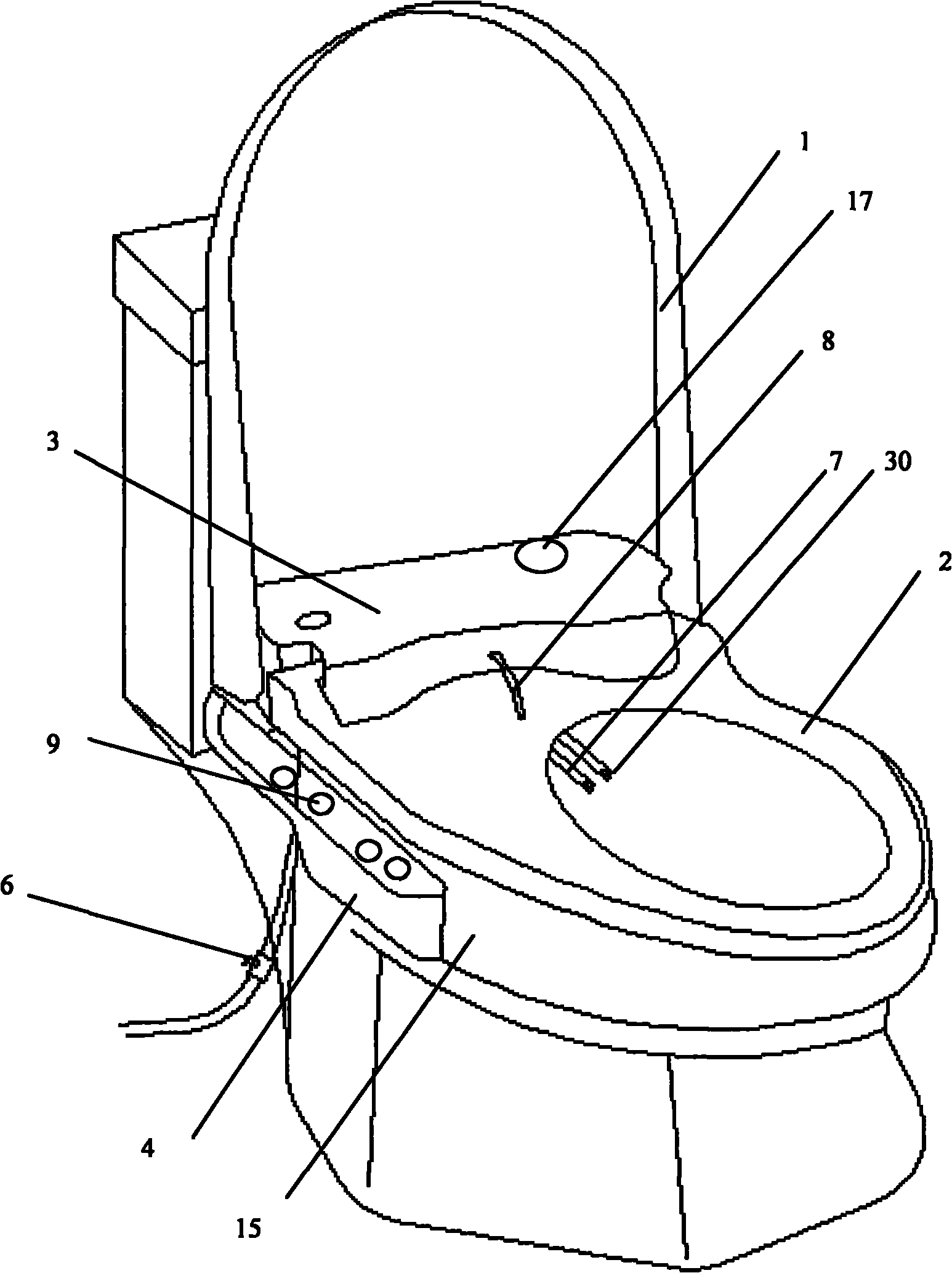 Toilet with flushing and medical treatment functions