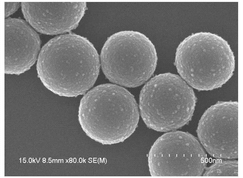Janus nano material with double properties and preparation method of Janus nano material