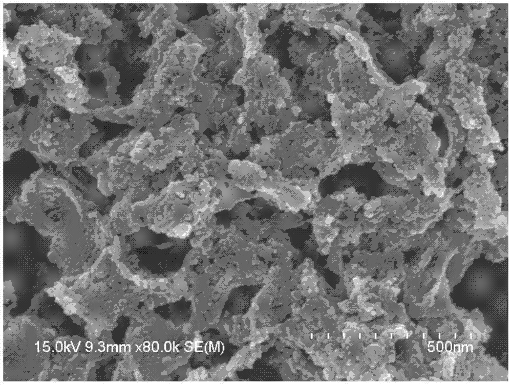 Janus nano material with double properties and preparation method of Janus nano material