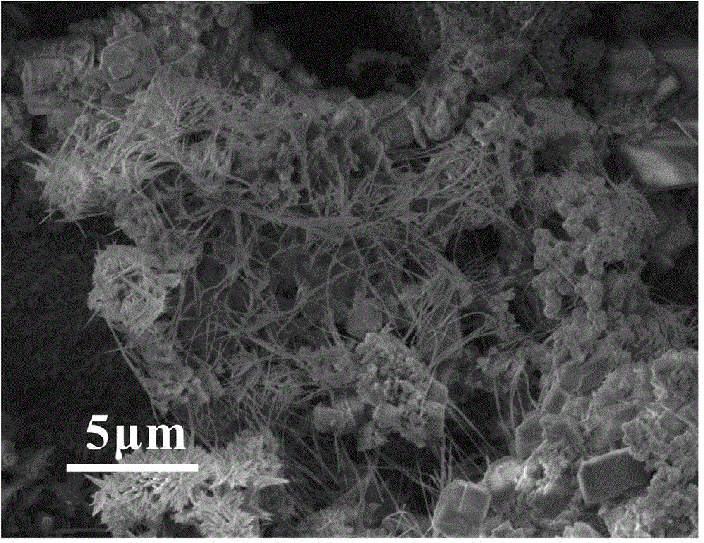 Composite biological filter material comprising neodymium ferrite nanowires