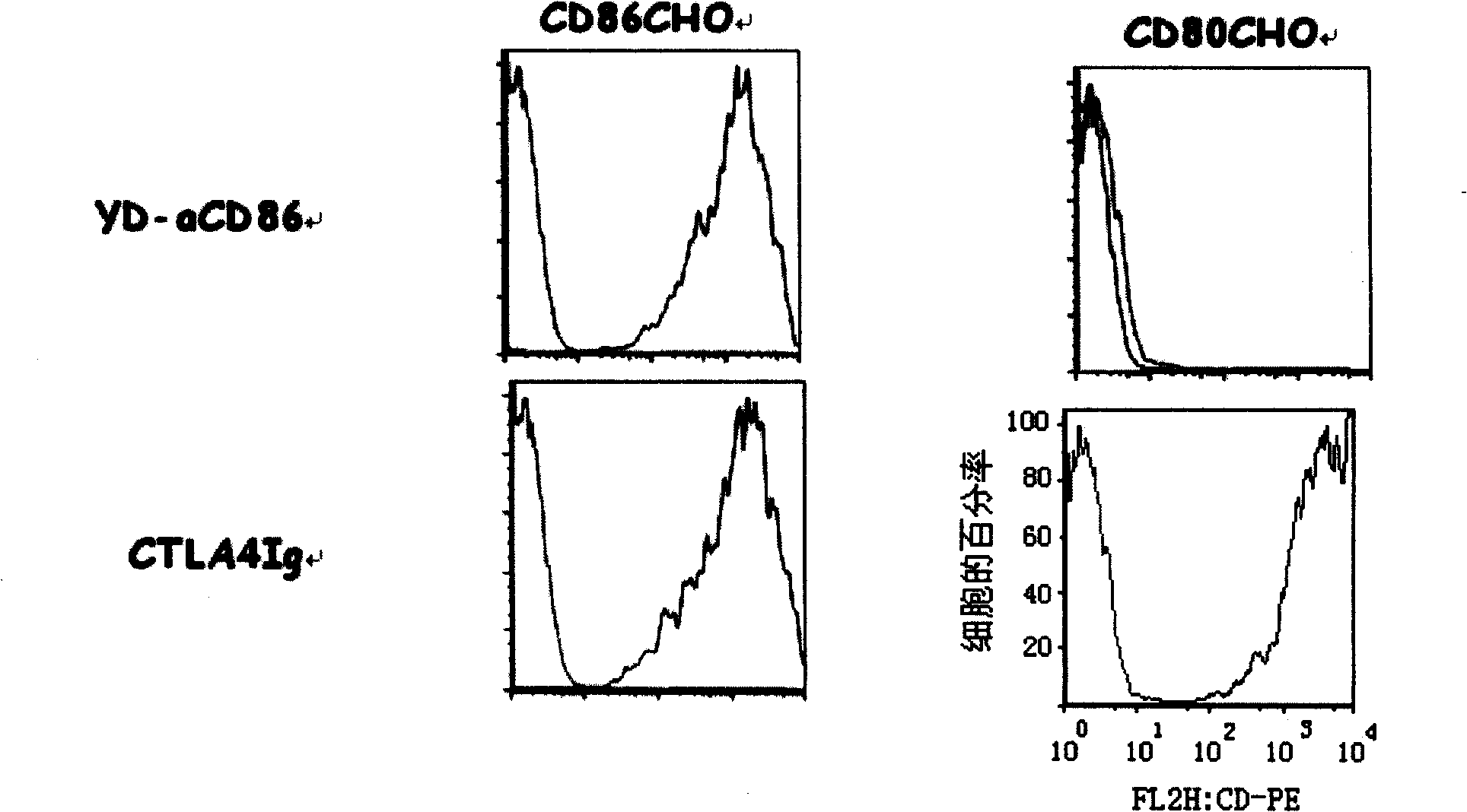 Anti-CD86 humanized monoclonal antibody