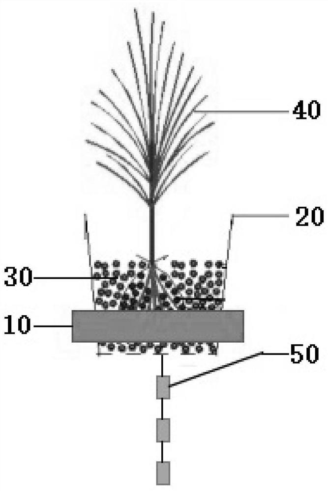 Ecological floating bed based on molecularly imprinted material and application of ecological floating bed in targeted degradation of emerging pollutants in polluted water