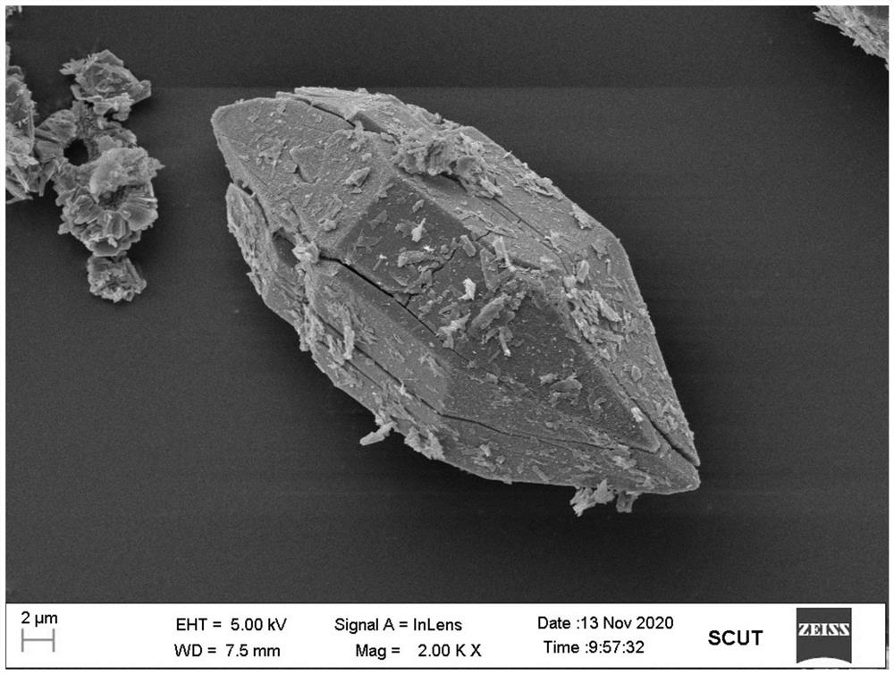 Ecological floating bed based on molecularly imprinted material and application of ecological floating bed in targeted degradation of emerging pollutants in polluted water