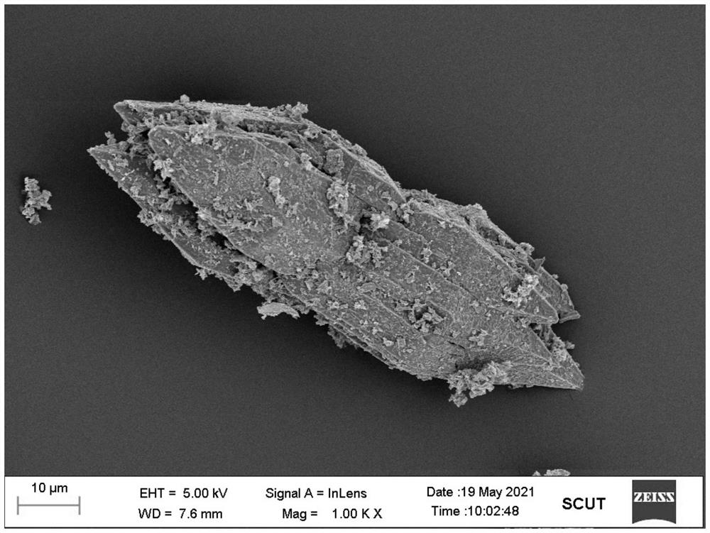 Ecological floating bed based on molecularly imprinted material and application of ecological floating bed in targeted degradation of emerging pollutants in polluted water