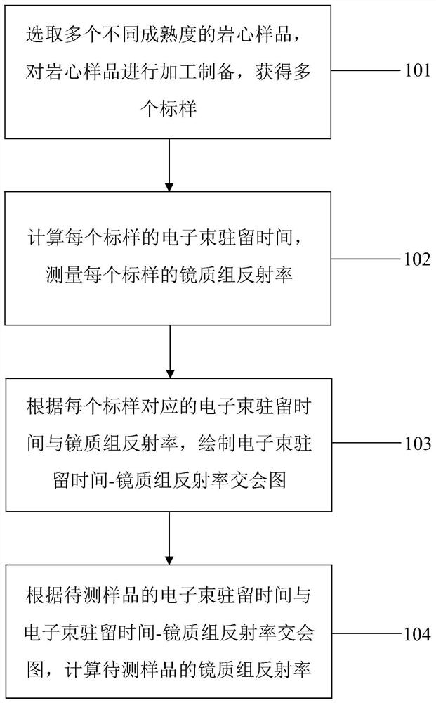 Organic matter maturity characterization method and system based on electron beam charge effect