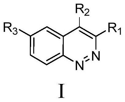 Cnoline compound PI3K kinase inhibitor as well as preparation method and application thereof in pharmacy