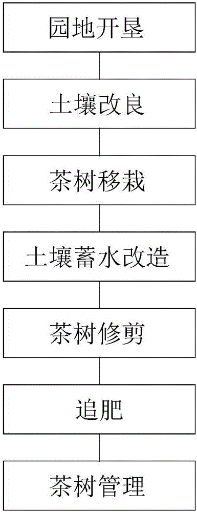 Planting method of ornamental tea tree