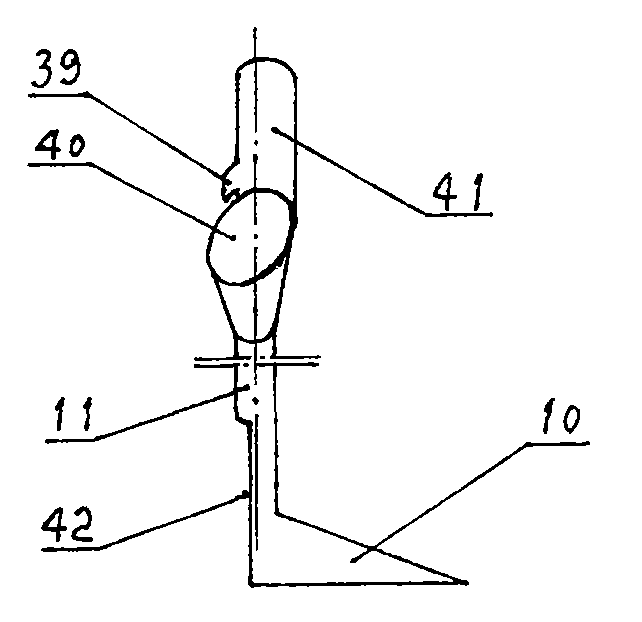 Seedling growing and transplanting method of corn, and mechanical transplanting machine matched with method