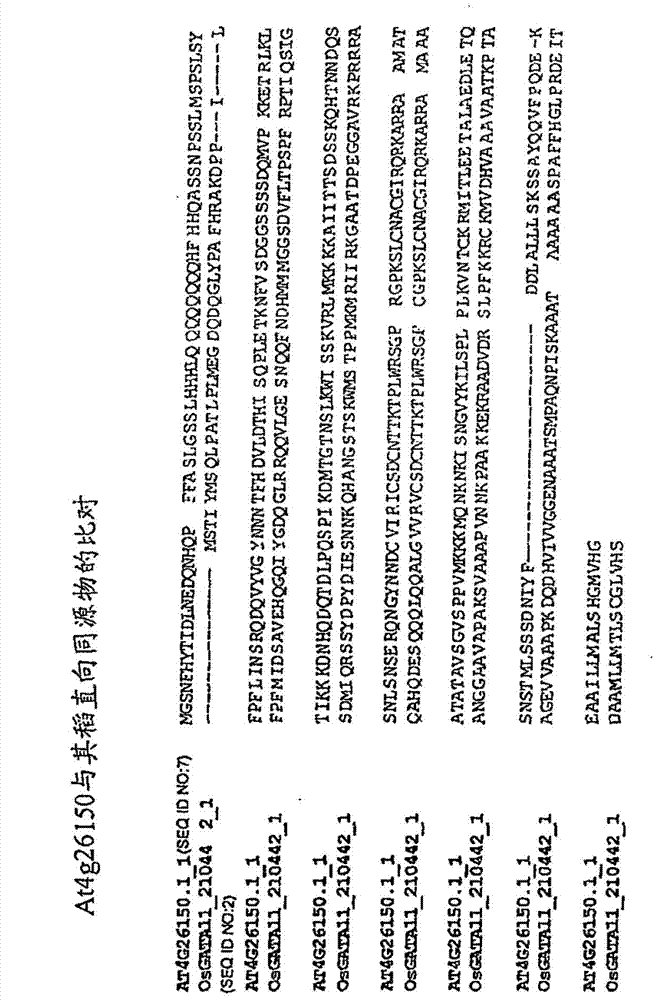 Nitrogen-regulated sugar sensing gene and protein and modulation thereof