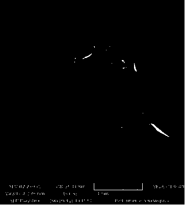 Method for producing industrial excellent ammonium sulfate through coarse ammonium sulfate coking coupling evaporation solventing-out crystallization