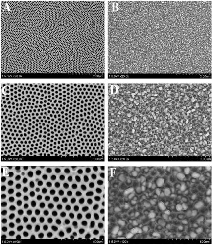 A kind of cu/paa composite film and its preparation method and application