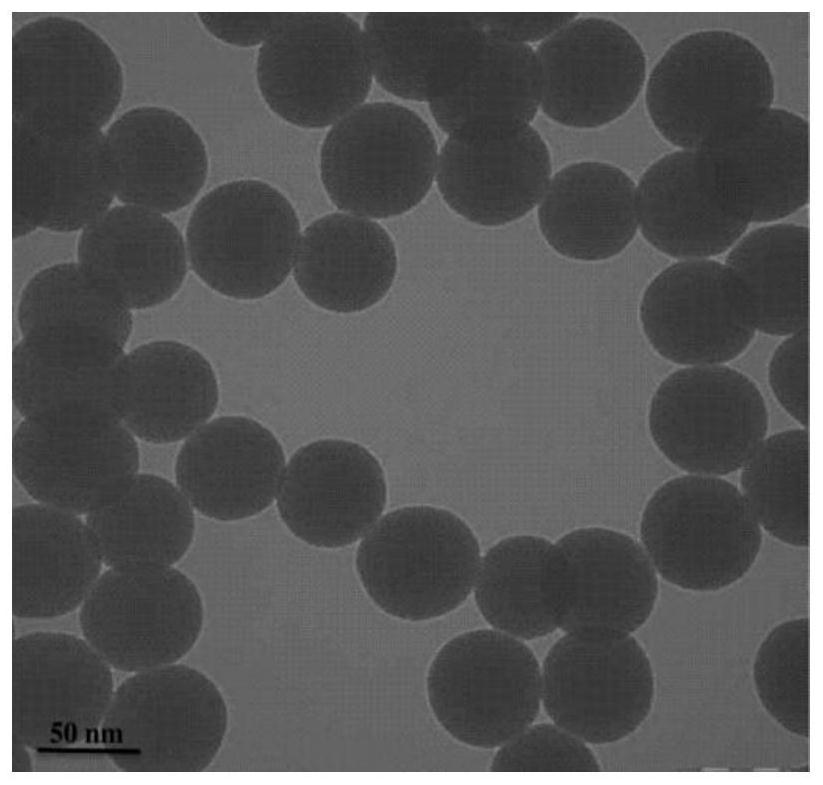 Biodegradable packaging film material