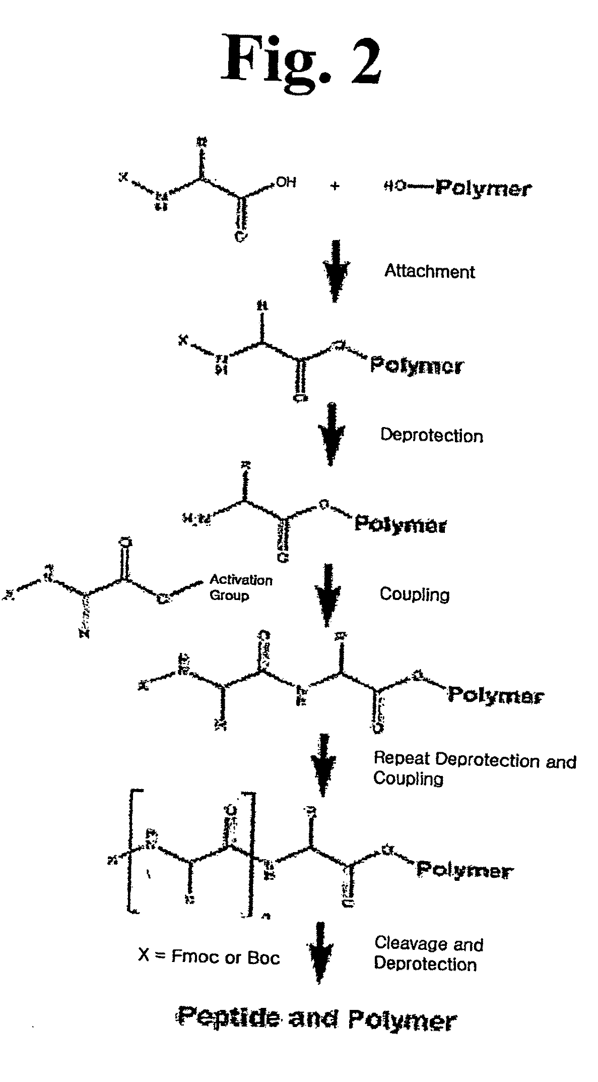 Peptides Having Activities of Insulin Like Growth Factor-1 and their Uses