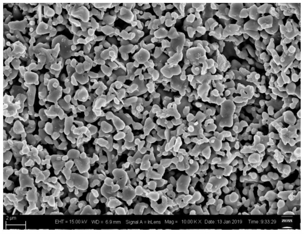 Anti-CO2-poisoning solid oxide fuel cell cathode material and preparation method of solid oxide fuel cell cathode material