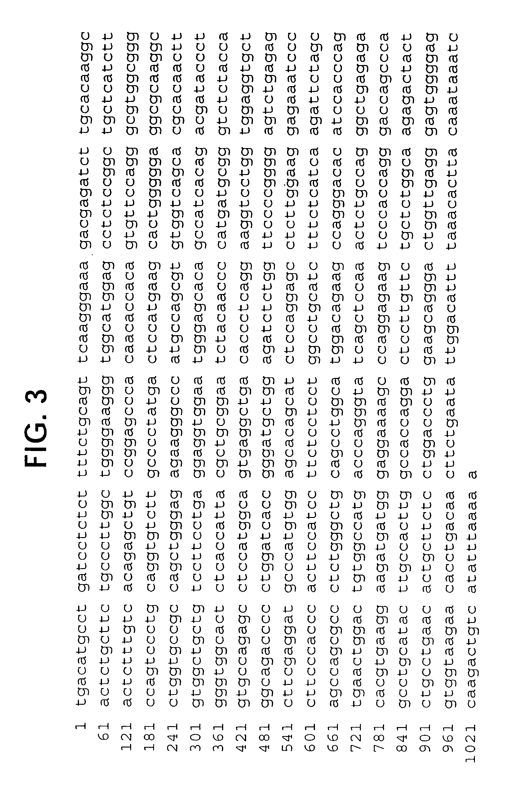 Novel receptor trem (triggering receptor expressed on myeloid cells) and uses thereof