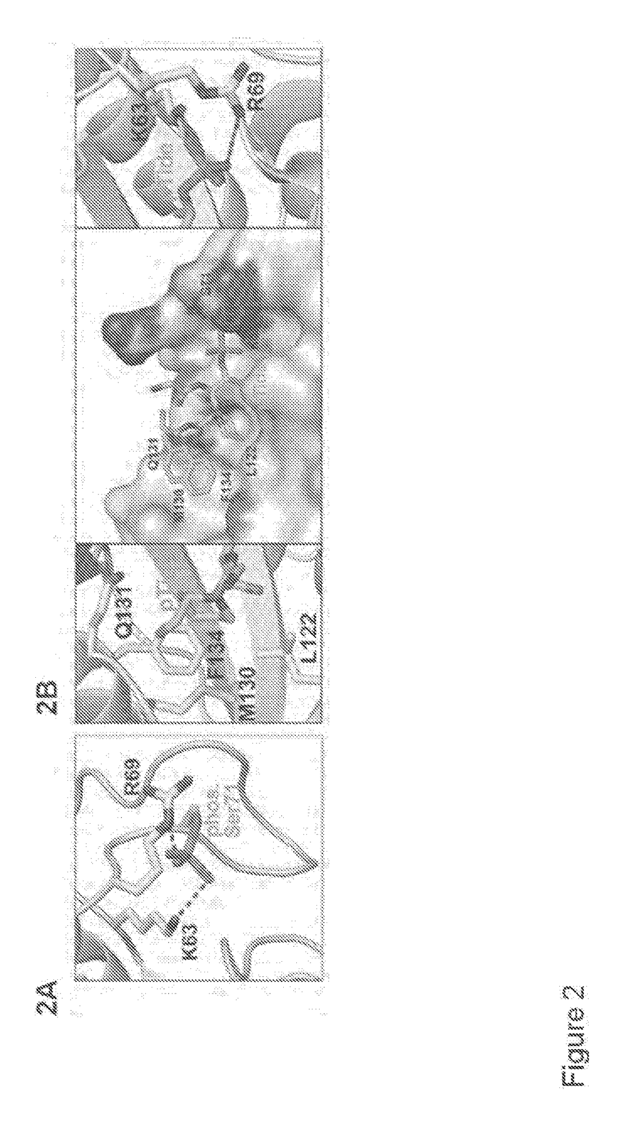 Enhanced atra-related compounds for the treatment of proliferative diseases, autoimmune diseases, and addiction conditions