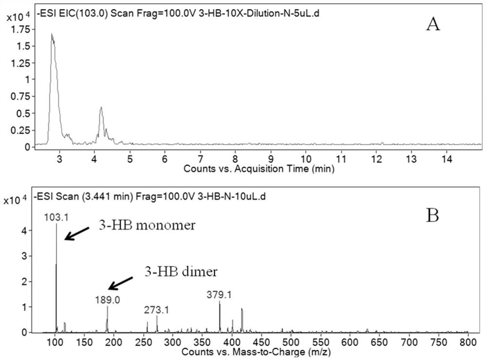 Aerobic denitrification preparation and its preparation method and application