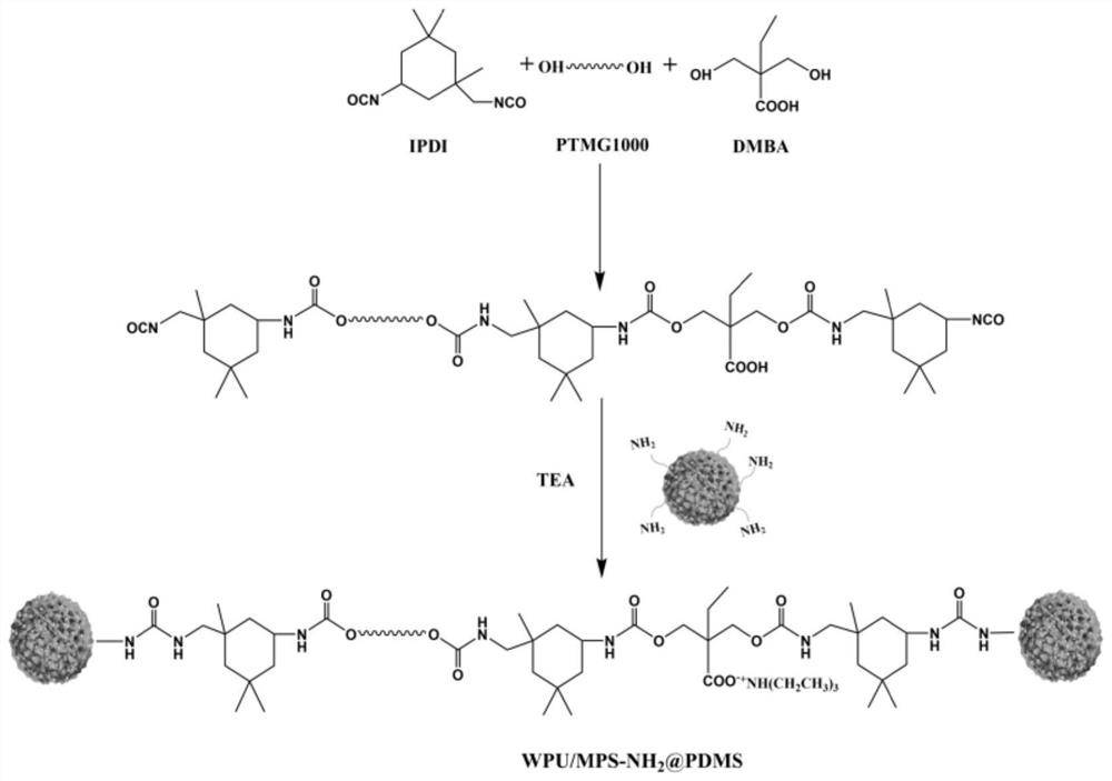 A wear-resistant superhydrophobic self-cleaning composite coating and preparation method thereof