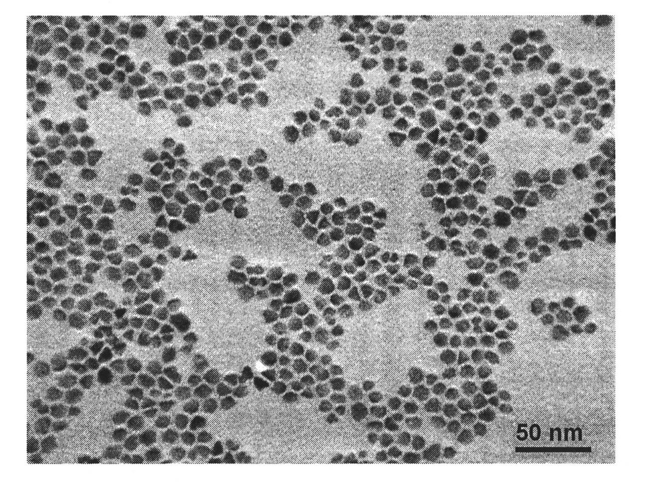 In-doped ZnO monodisperse nano granules and synthesizing method thereof