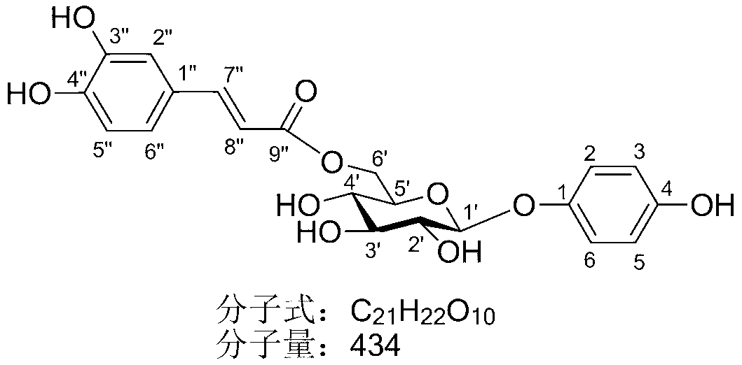 6'-O-caffeoyl-arbutin and derivatives thereof, and application of compound prescription in preparing cosmetics or medicines