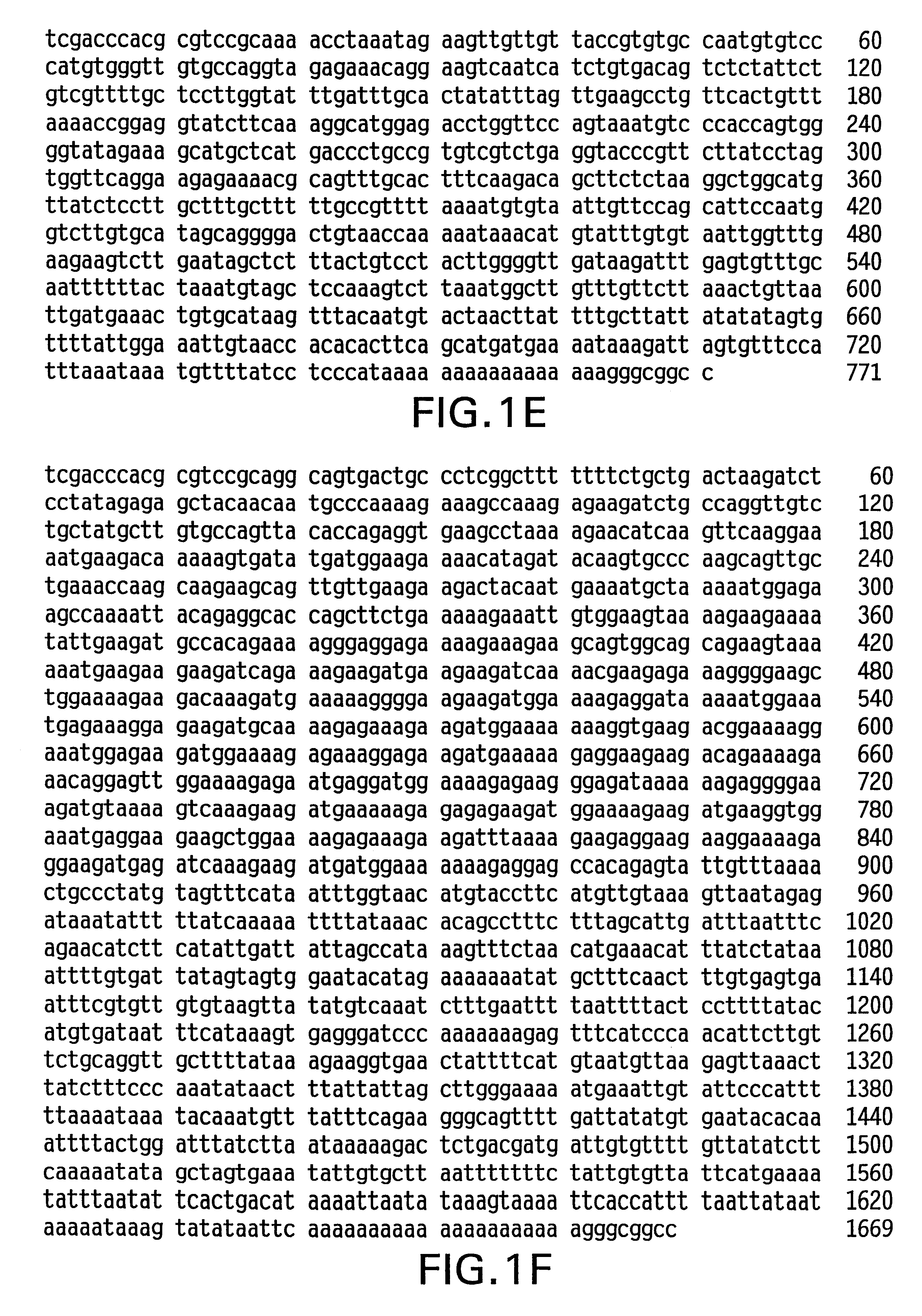 Compositions and methods for diagnosing and treating conditions, disorders, or diseases involving cell death