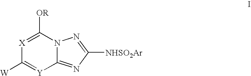 Process for the preparation of N-([1,2,4]triazolopyrimidin-2-yl)aryl sulfonamides