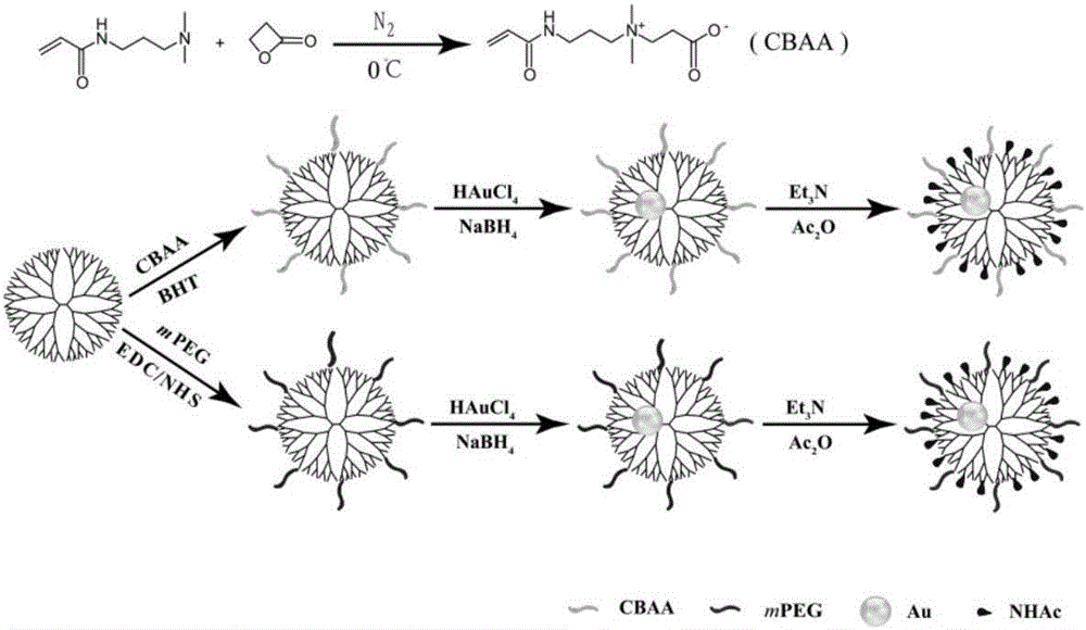 CT contrast agent with gold nanoparticles wrapped with zwitter-ion modified dendrimer and preparation method and application of CT contrast agent