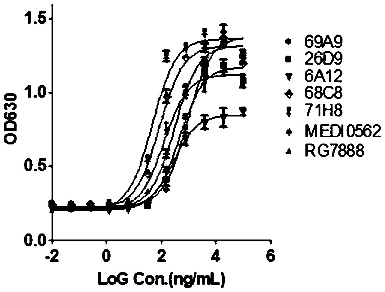Antibody that binds to OX40 and use thereof