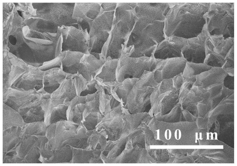 Carboxyethyl chitosan derivative/oxidized konjac mannan injectable hydrogel as well as preparation method and application thereof