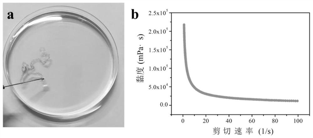 Carboxyethyl chitosan derivative/oxidized konjac mannan injectable hydrogel as well as preparation method and application thereof