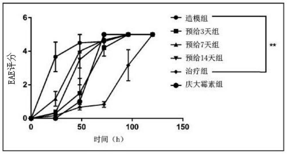 Application of a kind of glutathione in the preparation and prevention of central nervous system infection caused by Salmonella typhimurium