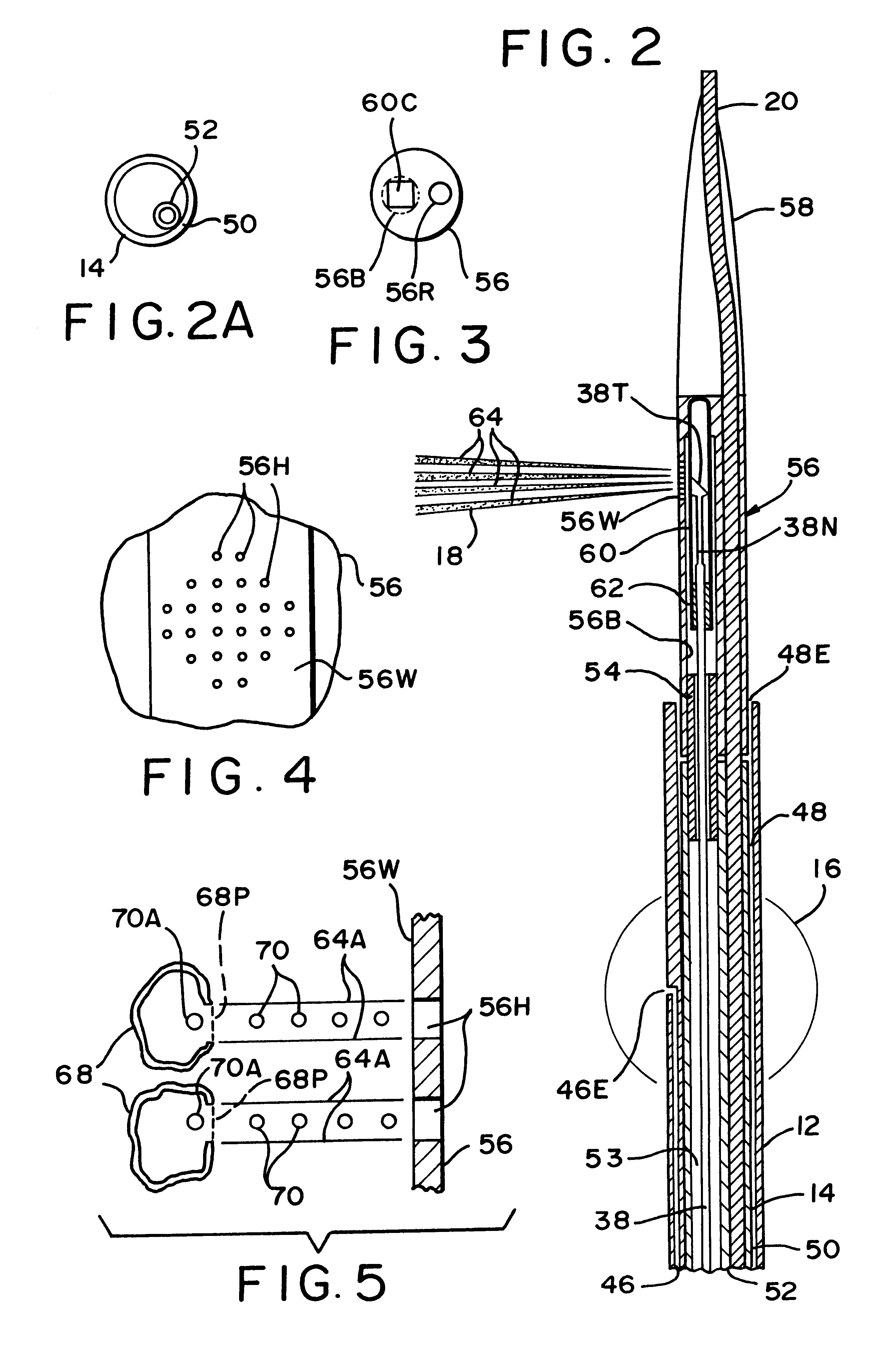 Cell transfection apparatus and method