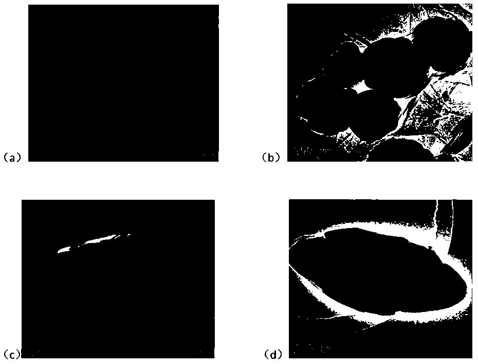 Chiral mof-magnetic graphene functional material and its preparation method and application