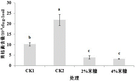 Soil anaerobic disinfection method for preventing and controlling tomato bacterial wilt