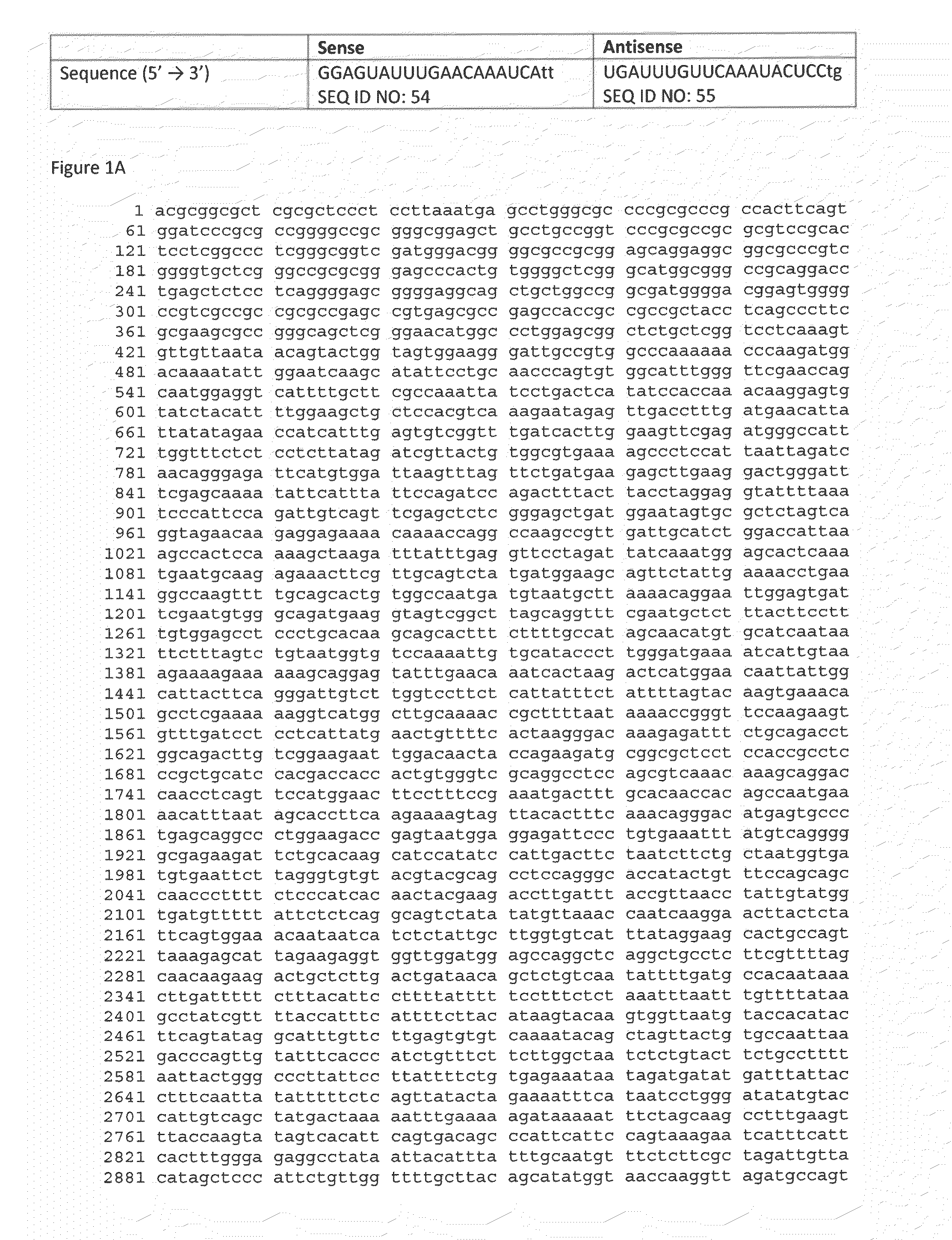 Compositions comprising agents that inhibit neuropilin and tolloid like 2