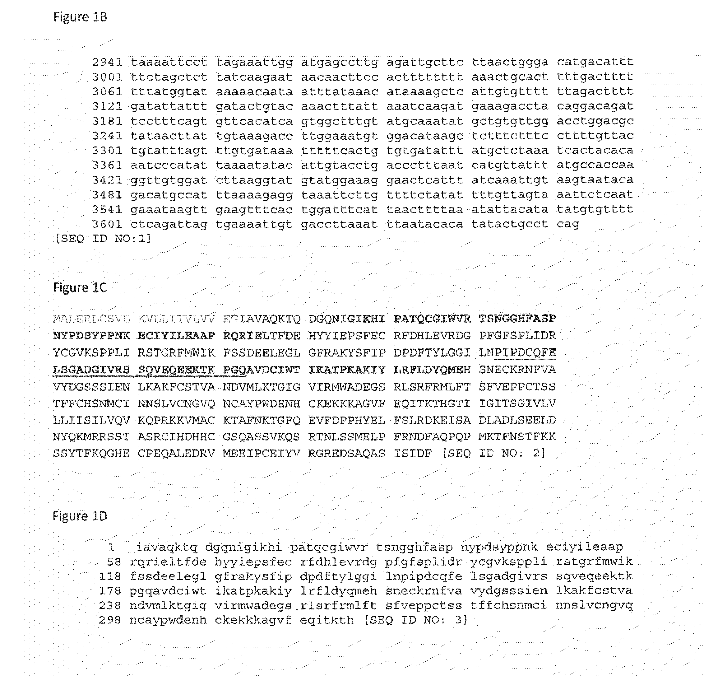 Compositions comprising agents that inhibit neuropilin and tolloid like 2