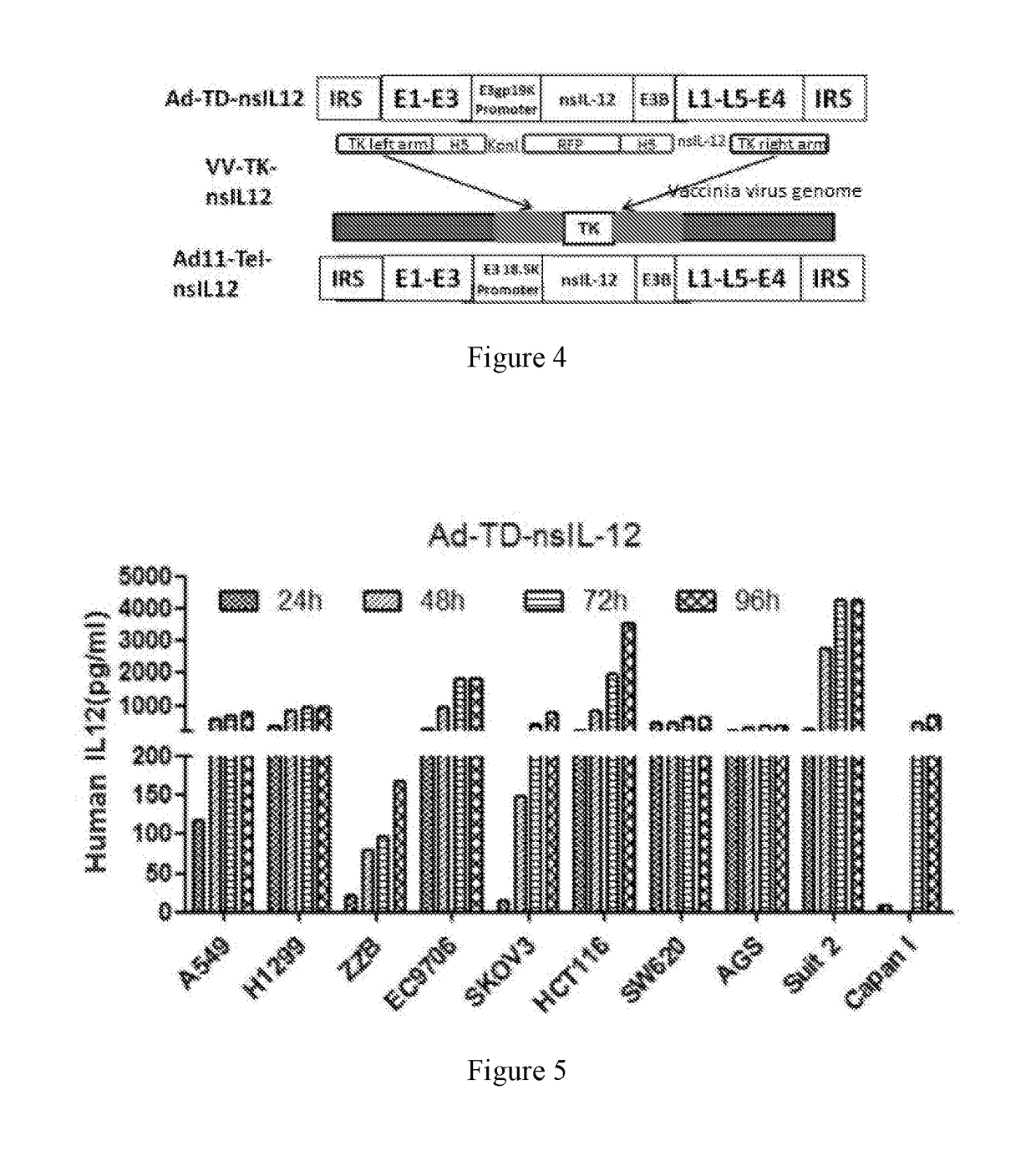 Modified interleukin 12 and use thereof in preparing drugs for treating tumours