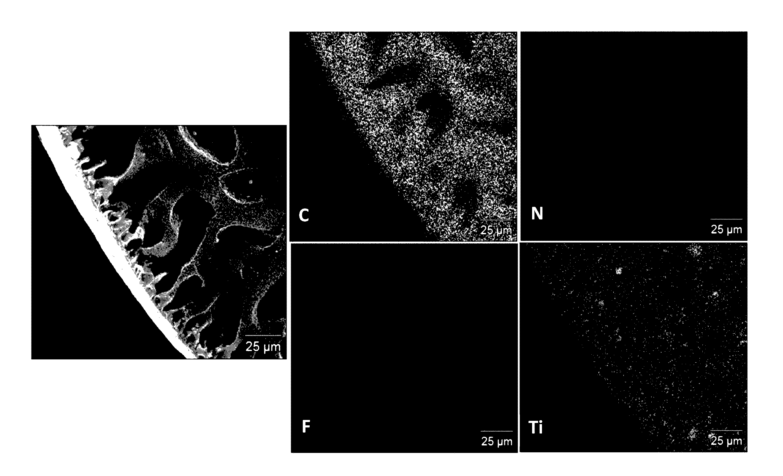 Nanocomposite membranes with advanced antifouling properties under visible light irradiation