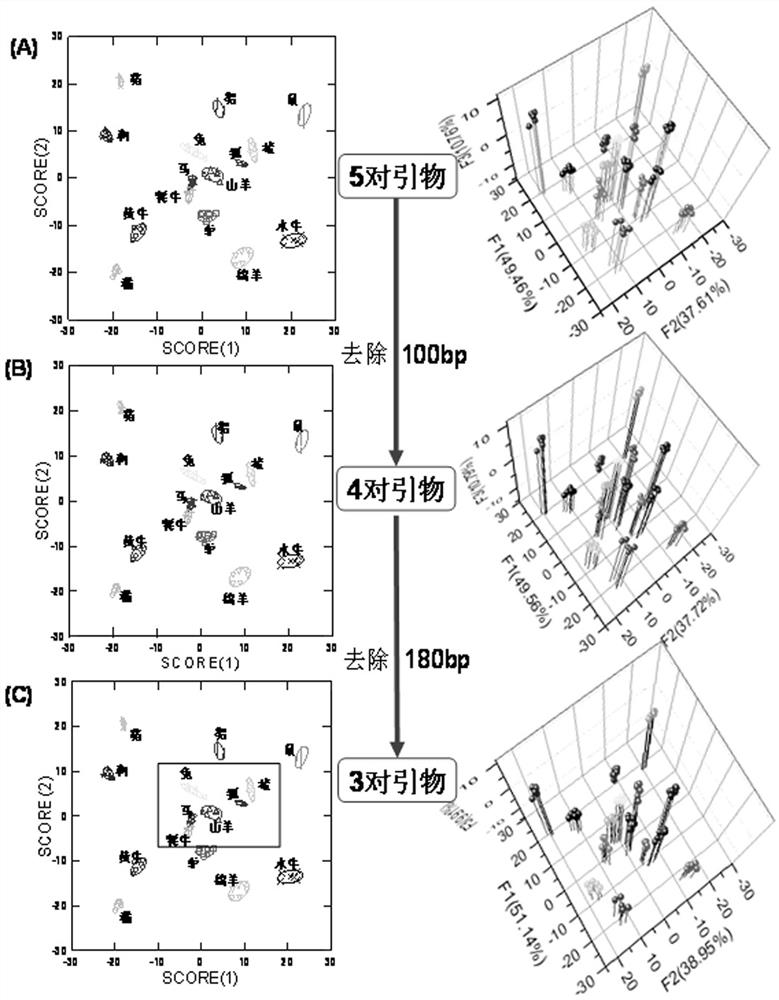 PCR (Polymerase Chain Reaction) high-resolution melting detection kit for 15 animal-derived components and detection method