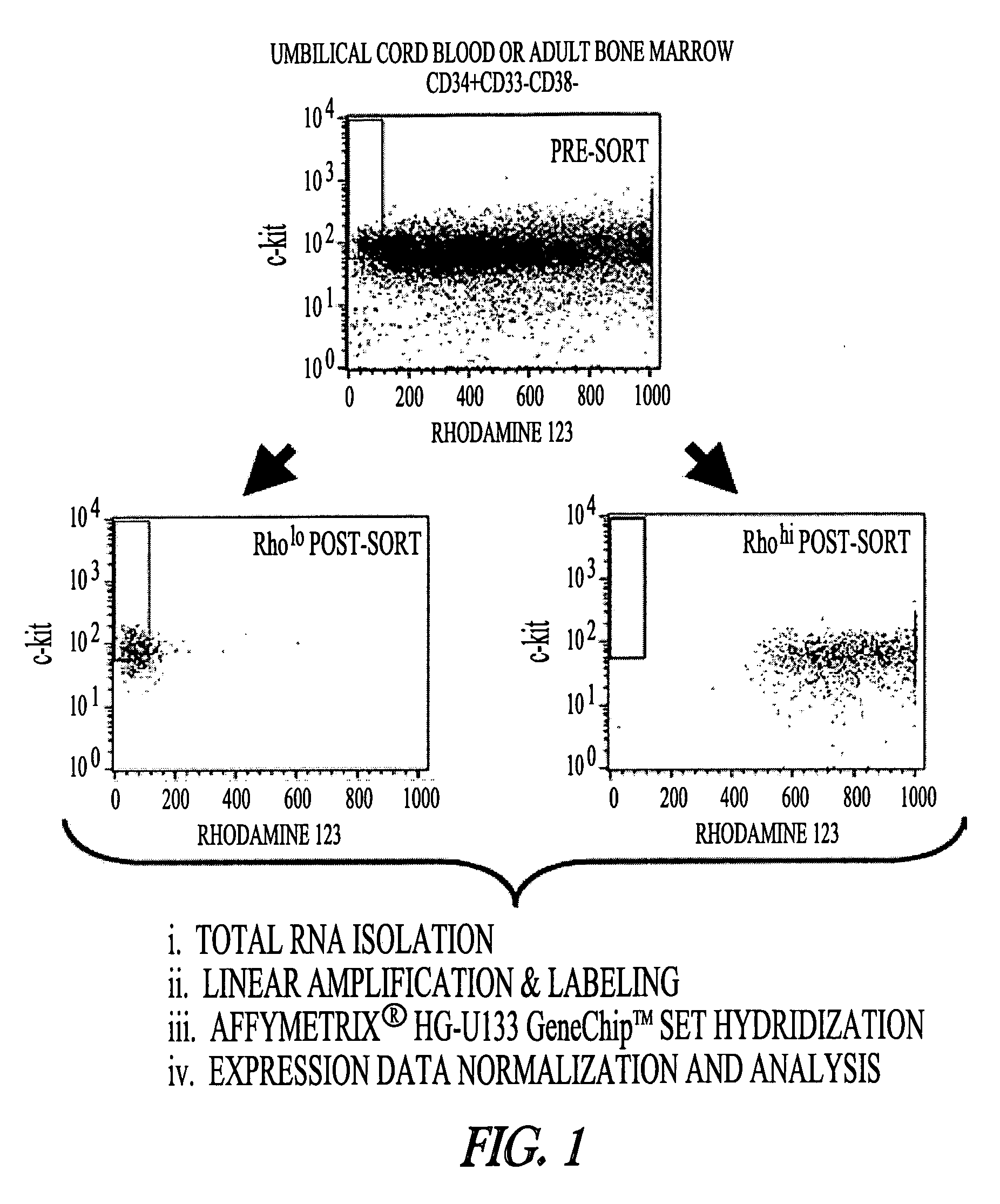 High-throughput functional analysis of gene expression