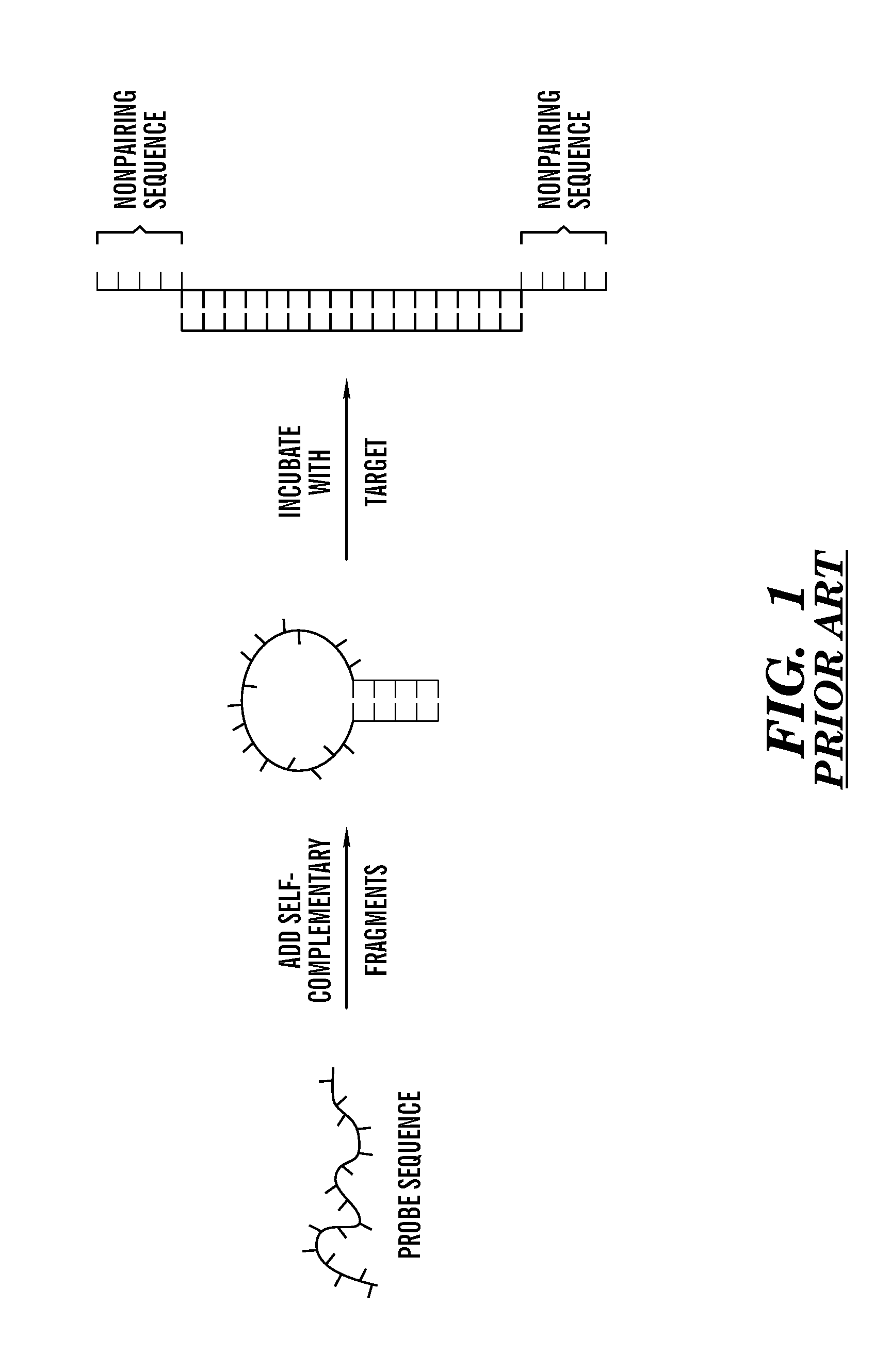 Method of identifying hairpin DNA probes by partial fold analysis