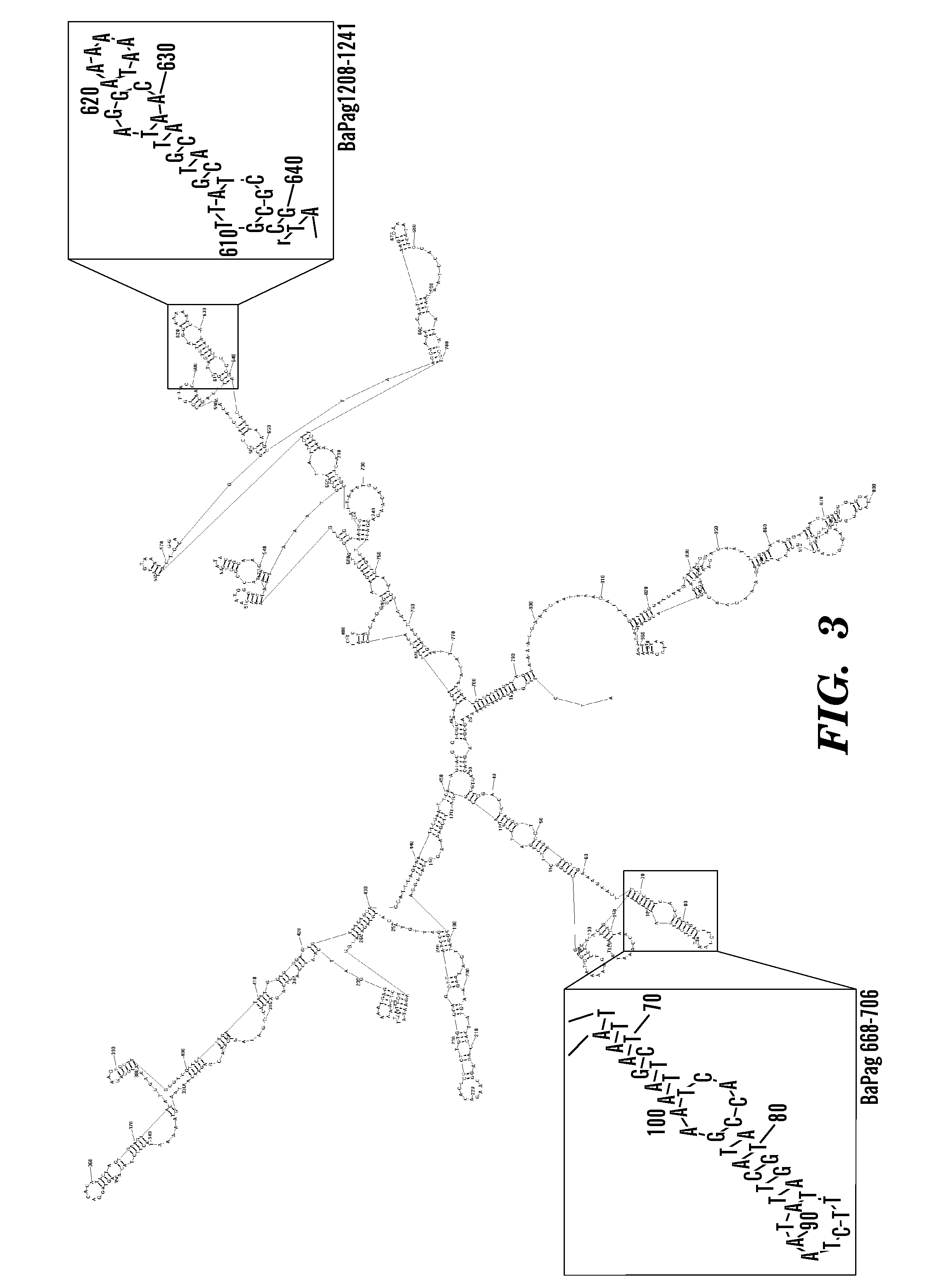 Method of identifying hairpin DNA probes by partial fold analysis