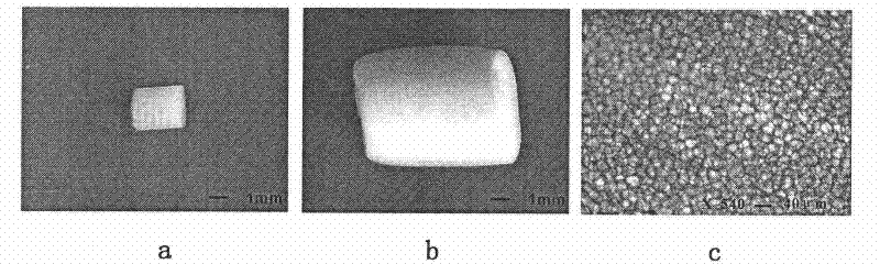 Biodegradable poly (butylene adipate terephthalate) micro-pore foaming particle with high foamability and preparation method thereof