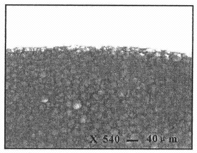 Biodegradable poly (butylene adipate terephthalate) micro-pore foaming particle with high foamability and preparation method thereof
