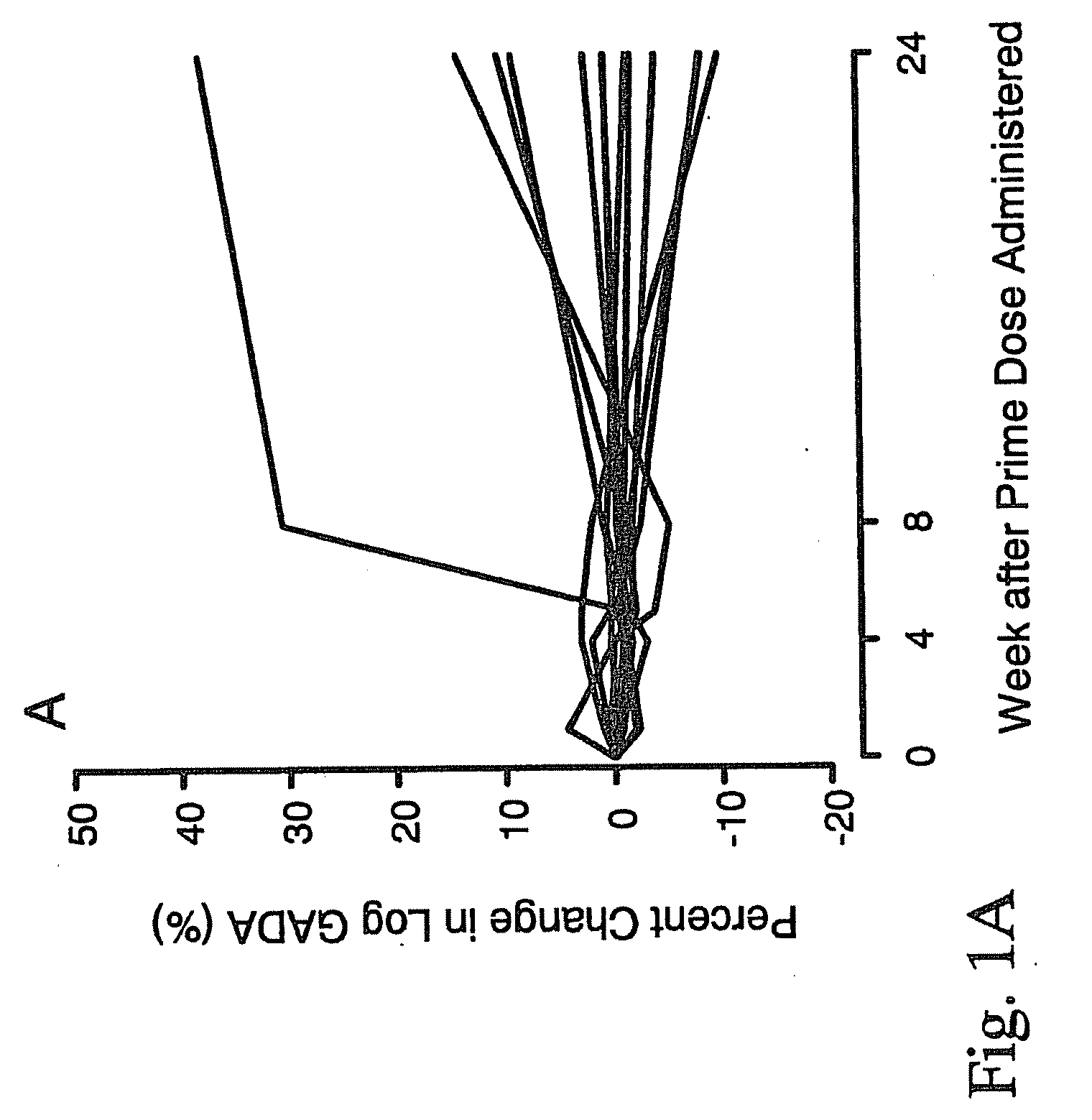 Immunomodulation for autoimmune type-2 diabetes