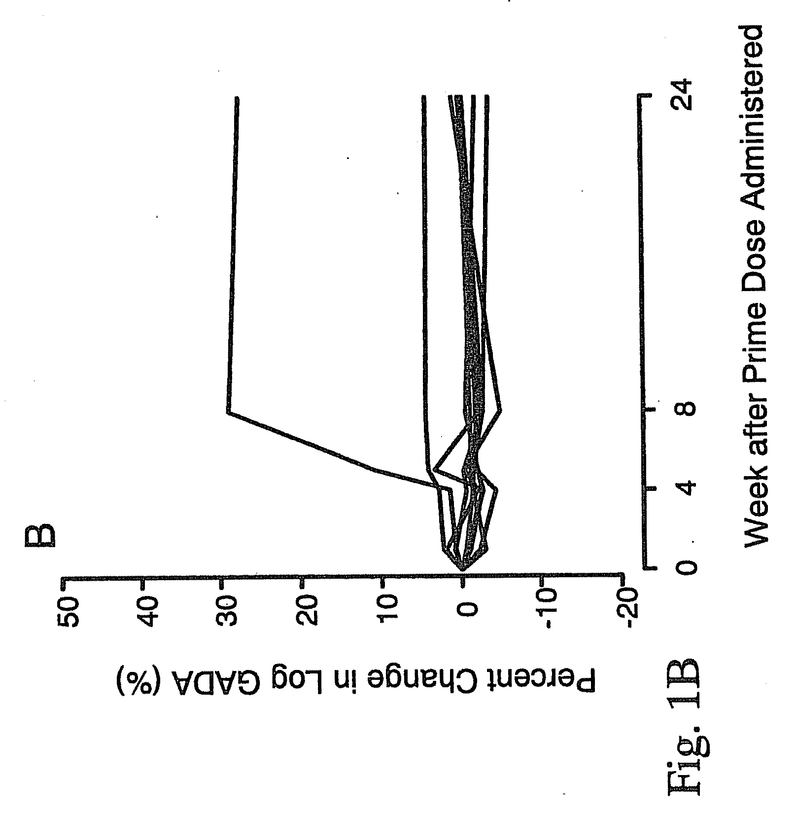 Immunomodulation for autoimmune type-2 diabetes