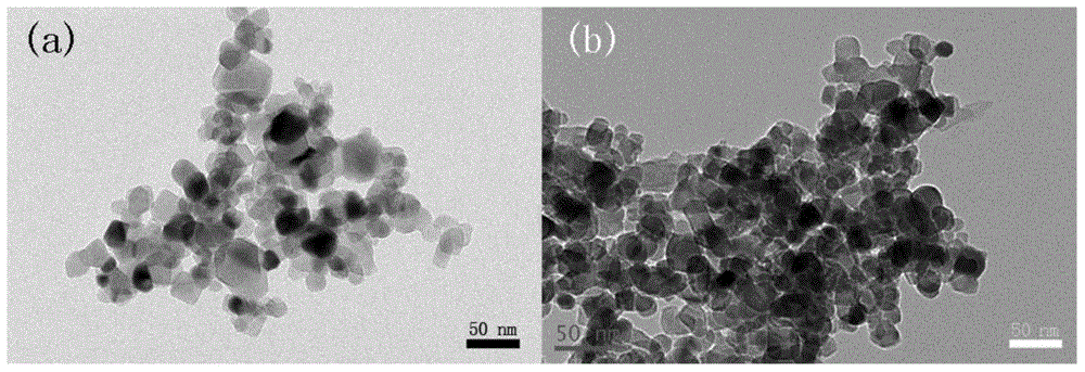 Dye-sensitized solar cell photoanode, its preparation method and application