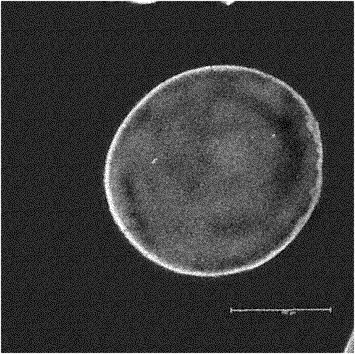 Self-expandable microgel pulse preparation with layer-by-layer assembled polyelectrolytes and preparation method thereof