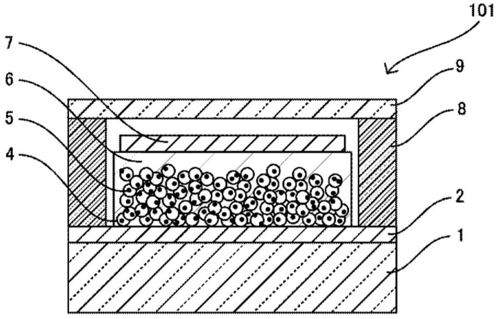 Solar cell module